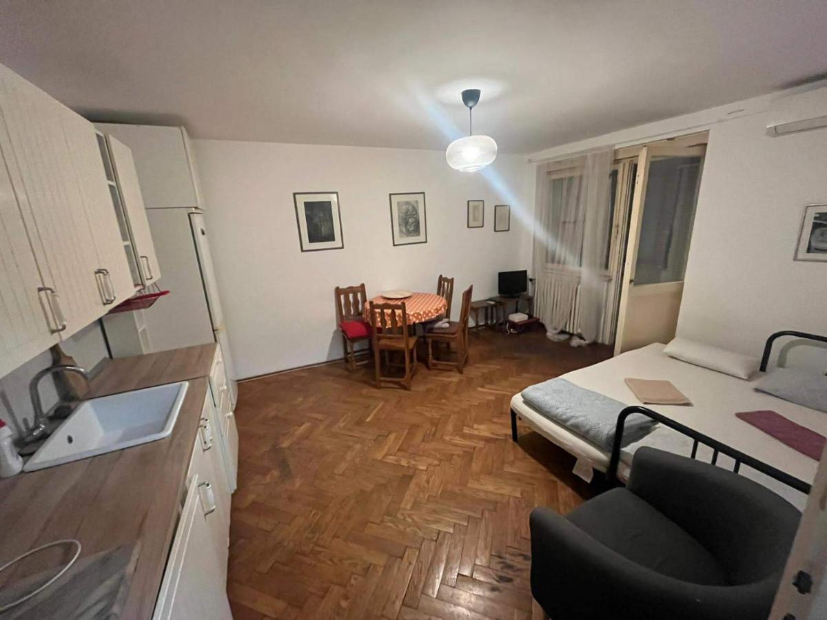 Downtown Belgrade Hostel And Apartments エクステリア 写真